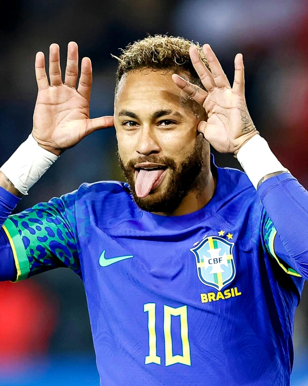 职业生涯的 职业生涯的