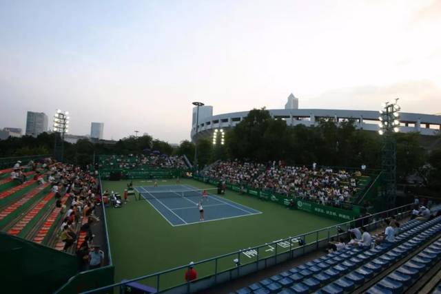 皇家社会对 皇家社会对