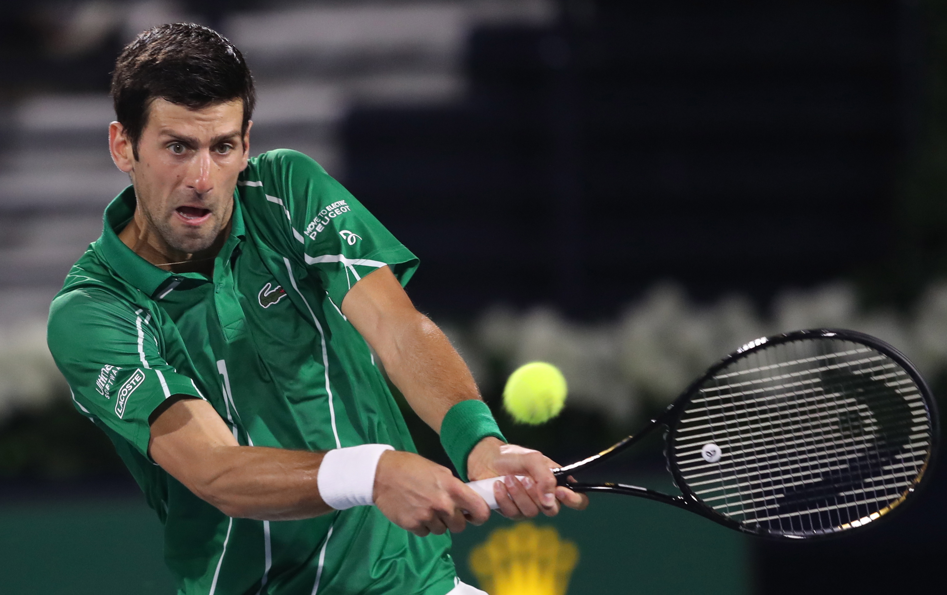 费转会的球 费转会的球