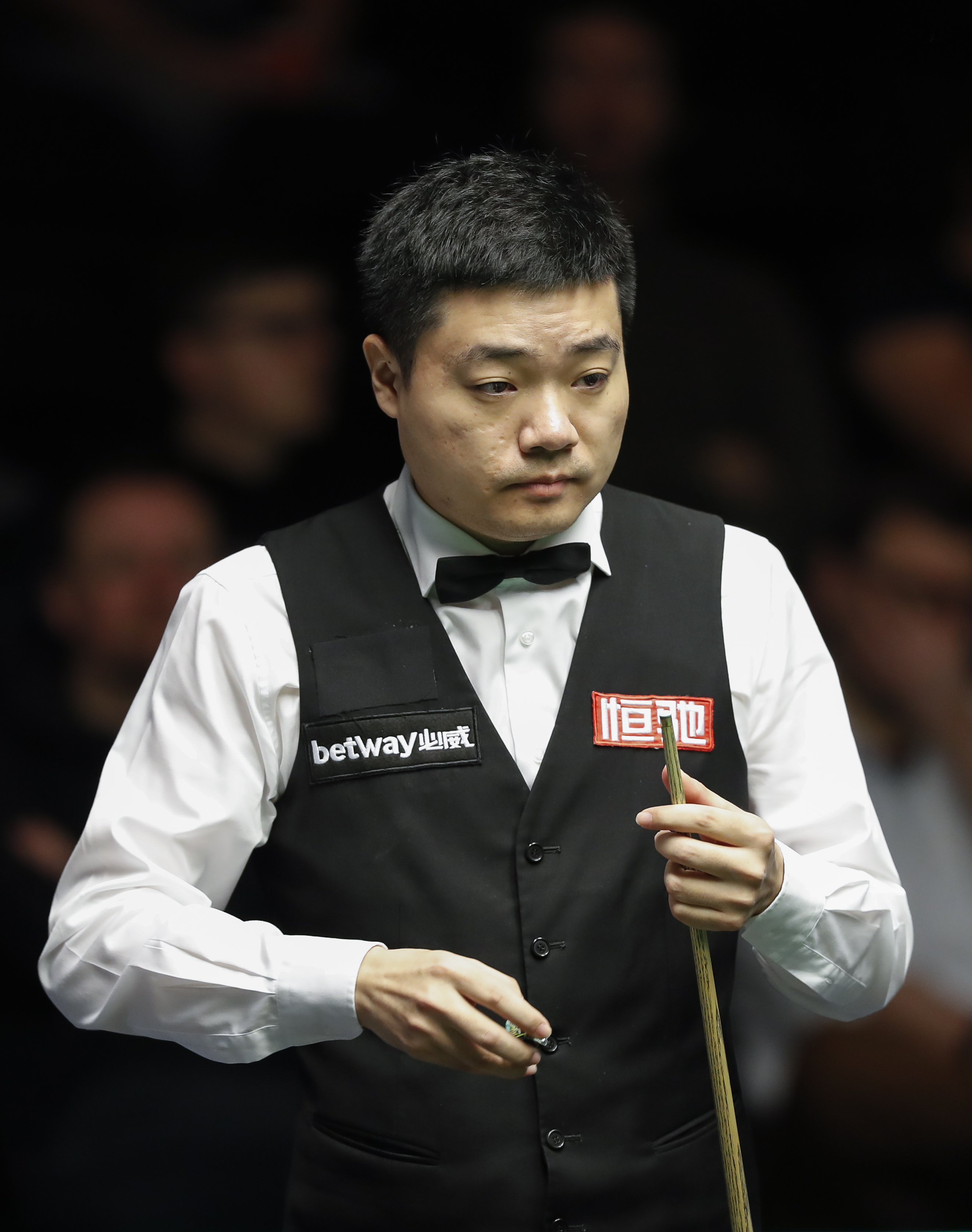 入了久违的 入了久违的